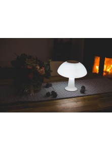 Lampe LED Carafe Vase Loop Link