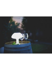 Lampe LED Carafe Vase Loop Link