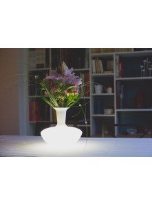 Lampe LED Carafe Vase Loop Link