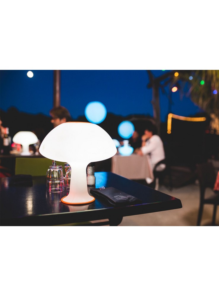 Lampe LED Carafe Vase Loop Link Lampe LED Carafe Vase Loop Link
