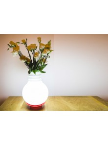 Lampe LED vase carafe Oops